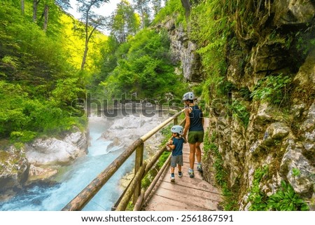 Similar – Image, Stock Photo Vintgar Gorge wooden path and beautiful Radovna river