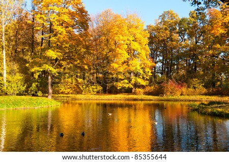 Beautiful Autumn Park At Sunny Weather Stock Photo 85355644 : Shutterstock