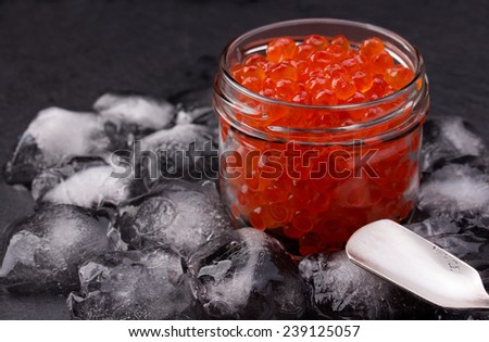 Salmon caviar in glass jar, standing in the middle of the ice cubes on black slate plate.