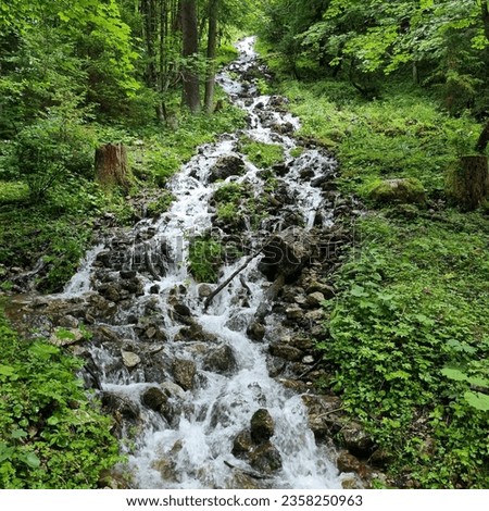 Similar – Image, Stock Photo Lake flowing near green trees