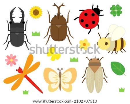 A set of insect illustrations. Stock foto © 