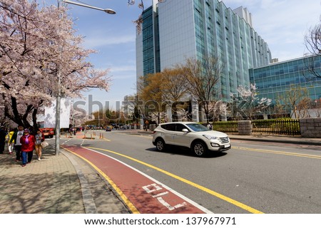 SEOUL, KOREA-APRIL 19: The ninth Yeouido Spring Flower Festival is being held in Yeouiseo-ro on April 19, 2013 in Seoul, Korea. Over 1,600 cherry trees are in full blooms.