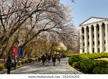 SEOUL, KOREA-APRIL 18: Students are walking at the campus which is lined with cherry trees of full blossoms in Kyung Hee University on April 18, 2013 in Seoul, Korea.