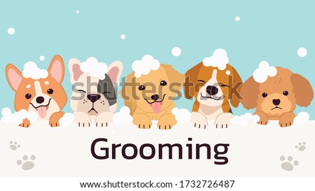 The banner group of cute dog and friend with bubble in flat vector style. illustation of pet grooming for content, label, banner,graphic and greeting card.