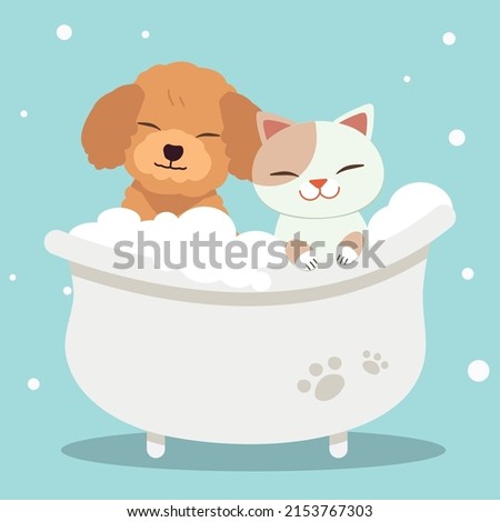 The character of cute cat and dog in the tube with flat vector style. Illustration about dog grooming for content, graphic, greeting card, baby shower.  商業照片 © 
