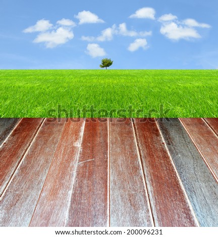 Wood grass sky and tree texture background