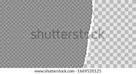 Torn paper edge vector illustration. Teared, ripped photo, sheet or page texture. Collage of 2 images.