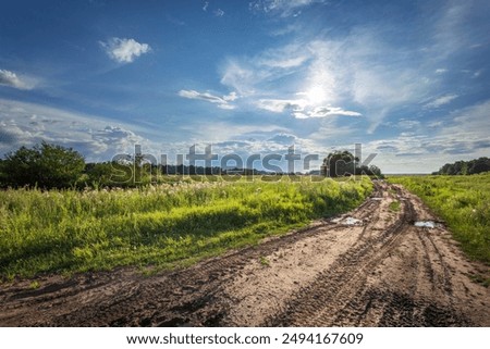 Similar – Image, Stock Photo Landscape with dirt road between blooming sunflower fields meadow on summer day in sunset rays. Agriculture, fields and pastures. Nature design. Agriculture of production of sunflower oil and seeds