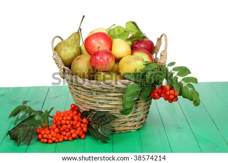full basket of fruit the decorated rowan-berry