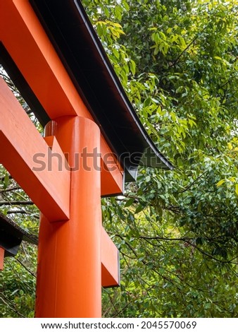 Similar – Image, Stock Photo Wooden gate close up in evening sun