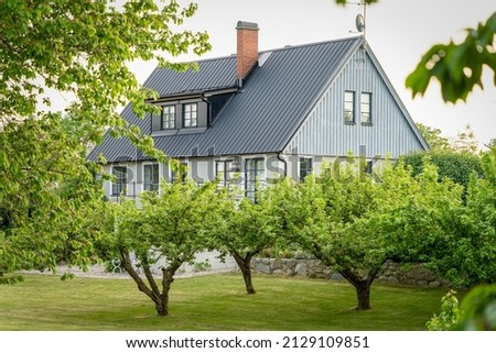 Image, Stock Photo Apple tree in front of blue sky