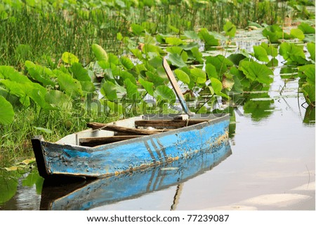 Photo of lotus lake with a boat