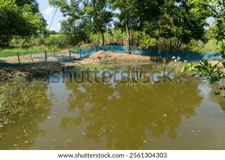 Similar – Foto Bild Ein blaues Netz das über Wasser gespannt ist