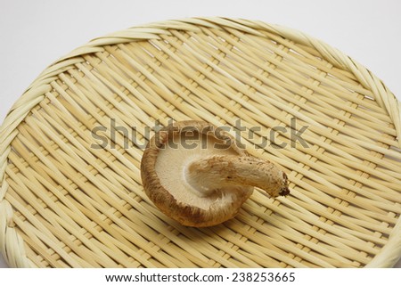 The Japanese brown mushroom which seems good freshly/Japanese brown mushroom