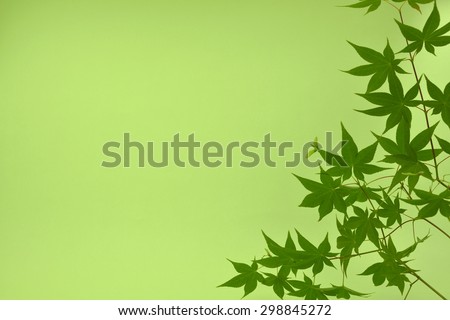 The background material/The background where a leaf of colored leaves was treated.