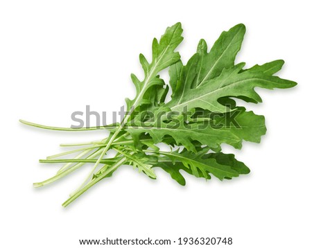 Arugula leaves isolated on white background, top view                        商業照片 © 