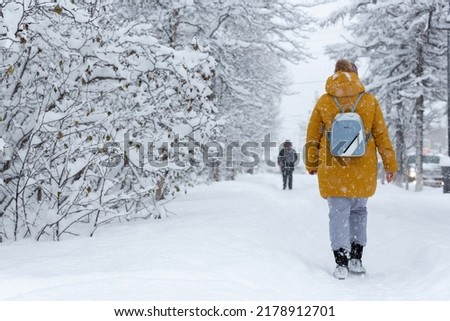 Similar – Image, Stock Photo Walk in the snow Outdoors