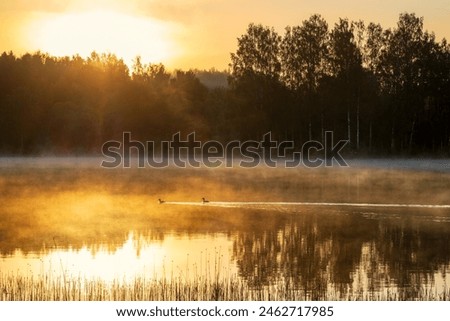 Similar – Foto Bild Nebel am See harmonisch