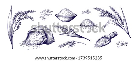 Hand drawn rice. Organic cereal in bag and rice porridge in bowl, sketch doodle set of wild jasmine steamed and basmati rice. Vector outlined illustrations rice plant and grains Сток-фото © 