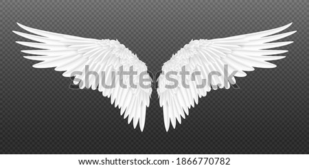 Realistic wings. Pair of white isolated angel style wings with 3D feathers on transparent background.  illustration bird wings design