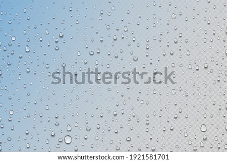 Water drops. Realistic rain droplets on window. Shower glass. Round aqua drips on transparent background. Wet surface with color gradient effect. Decorative humid texture. Vector condensation or dew