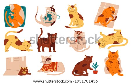 Doodle cats. Funny home pets walking sleeping playing and stretching, purebred cartoon domestic animals collection. Cheerful fluffy adorable kitten in different poses vector modern simple isolated set