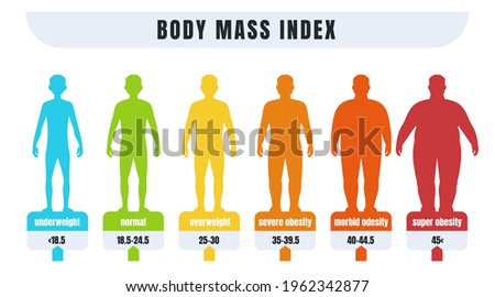 Man BMI. Body mass index infographics for male with normal weight and obesity. Fat and skinny silhouettes. Diagram for medical diagnostic. Vector underweight or adiposity diagnosis