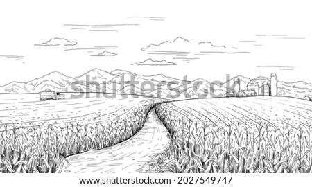 Hand drawn field landscape. Corn farm sketch with rural house and silos. Pencil drawing of agriculture area panorama. Truck with maize harvest. Vector summer and autumn engraving scene