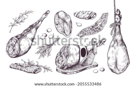 Hand drawn jamon. Special Spanish leg ham. Isolated delicious meat sketch. Pork slices with rosemary and olive. Prosciutto black and white drawing. Vector restaurant menu illustration