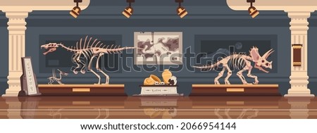 Museum interior. Paleontological exhibition with prehistoric dinosaur skeleton. Fossils and archaeological discoveries. Historical artefacts and sculls on pedestals. Vector science room