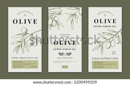 Olive oil label, greek tree logo on emblem. Italian organic sketch art, vegetable diet food, plant harvest. Botanical engraving elements. Packaging design. Package vector illustration