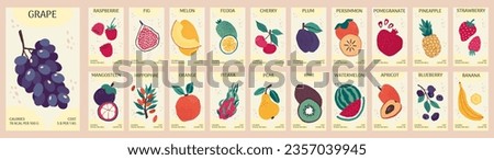 Fruit label. Food price stickers. Tropical pineapple or banana. Grocery covers for vegan. Vegetable shop. Grape costs and calories. Vitamin diet package. Vector market posters design set