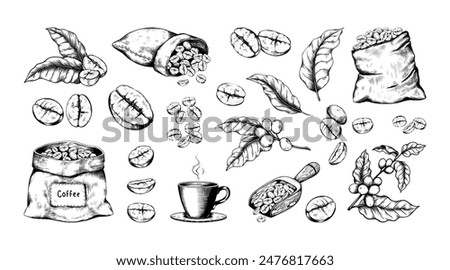 Coffee sketch. Hand drawn Arabica beans. Roasted seeds bag. Black and white retro drink art. Espresso cup. Rustic wooden spoon. Tree leaves with berries. Vector vintage elements set