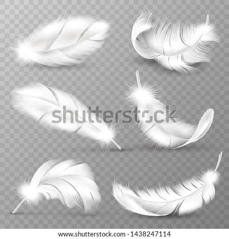 Realistic white feathers. Birds plumage, falling fluffy twirled feather, flying angel wings feathers. Realistic isolated vector easy transparent goose animal plume logo set