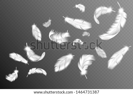 Flying feathers. Falling twirled fluffy realistic white swan, dove or angel wings feather flow, soft birds plumage vector silhouette drawing isolated object collection