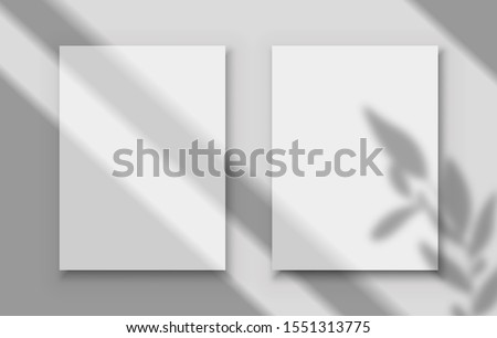 Posters with shadow overlay. Two white blank image frames with transparent shadows of tropical leaves and window frame. Vector paper board minimalistic mockup