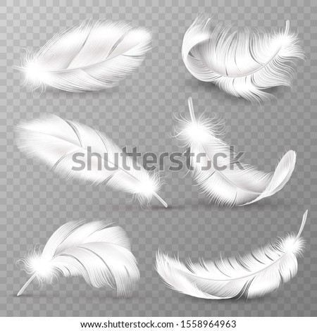 Realistic white feathers. Birds plumage, falling fluffy twirled feather, flying angel wings feathers. Realistic isolated easy goose animal plume logo set