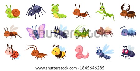 Cute cartoon insects. Funny little insect characters set baby snail, smile spider and caterpillar, little ant, colorful butterfly and comic dragonfly, bumblebee and mosquito vector isolated collection