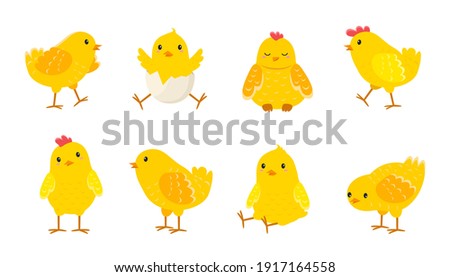 Cartoon Easter chicks. Cute baby farm birds with yellow feathers. Cheerful little chickens and roosters activities. Funny domestic animals hatched from eggs. Isolated newborn poultry, vector set