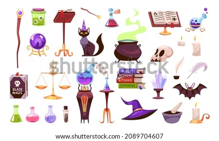 Magic tools. Wizards equipment and animals companions. Witchcraft spells book and elixirs. Wide brimmed hat or potion cauldron. Ball of predictions. Vector alchemy or sorcery elements set