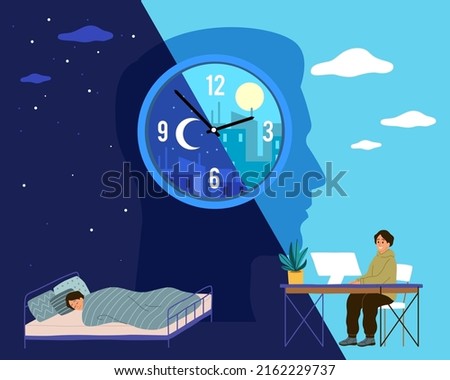 Human biological clock. Time for sleep and work, man in bed at night and working at computer during day, healthy lifestyle. Harmonious circadian rhythm, vector cartoon flat concept