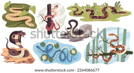 Snakes habitat. Different natural conditions, crawling scaly animals on branches, in water, in desert, suitable atmosphere, tropical wildlife, cobra and python, tidy vector cartoon flat set