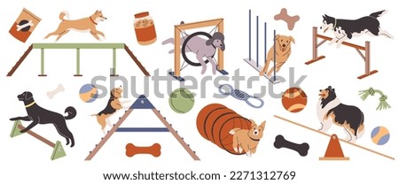 Dog agility. Pets train on their own, animal simulators, different breeds, outdoor sport activities, obstacle overcoming, playground for animals, tidy vector cartoon flat isolated set