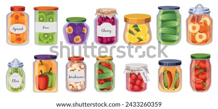 Jars preserved vegetables. Pickled fruits, berries and mushrooms, organic fermented food in glass containers, homemade cucumber conserves, cartoon flat style isolated tidy vector set