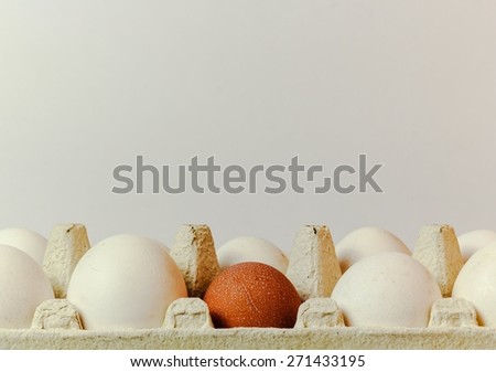 Chicken eggs in the tray. All white and one dark. Whether the concept of special