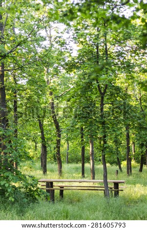 Wooden picnic table in the woods