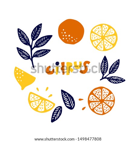 Collection of citrus fruits - orange, lemon, lime and leaves icons set, colorful isolated on white background, vector illustration. Citrus cute lettering