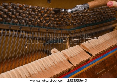 Similar – Image, Stock Photo Craftsman tuning string instrument in workshop
