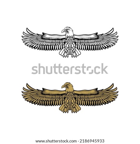 United State Marine Corps Eagle ega design illustration vector eps format , suitable for your design needs, logo, illustration, animation, etc.