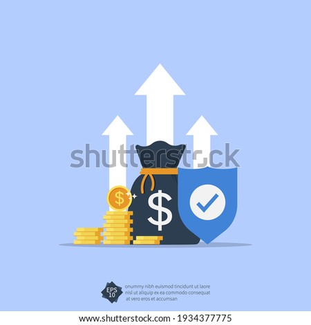 Income protection concept with shield symbol illustration.